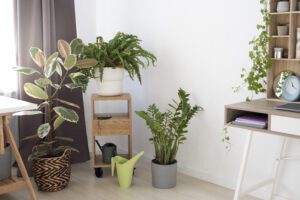 how to grow an indoor garden